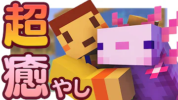 たこらいす3 たこらいす3