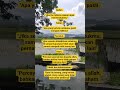 pahami #shortvideo #viralshort #fypyoutube #youtubeshorts #fyp #quotes