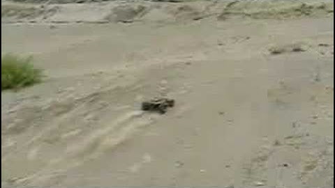 Traxxas Rustler VXL & HPI savage XL