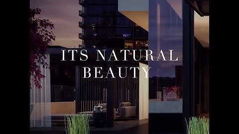 11YV Condos intro video