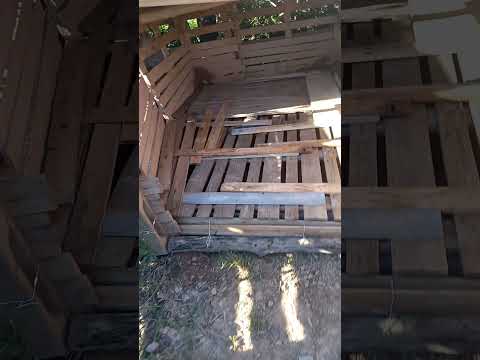 CRIAÇÃO DE PORCO CAIPIRA , COMO FAZER UMA MATERNIDADE DE PALET