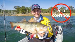 Targeting HARVEY DAM REDFIN on LURES | Fishing Harvey Dam