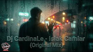 Dj Cardinale - Islak Camlar (Original Mix)