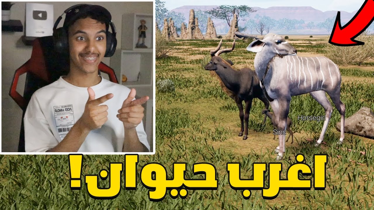 انيمليا سيرفايفل #21 : التحديث الجديد واغرب حيوان!😳🔥| Animalia Survival