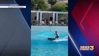 Puppies surf the waves at Palm Springs Surf Club during Coachella weekend 2