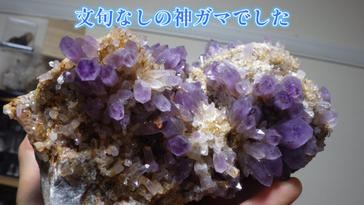 【神回】ゴツゴツの紫水晶クラスターが出てきたガマ