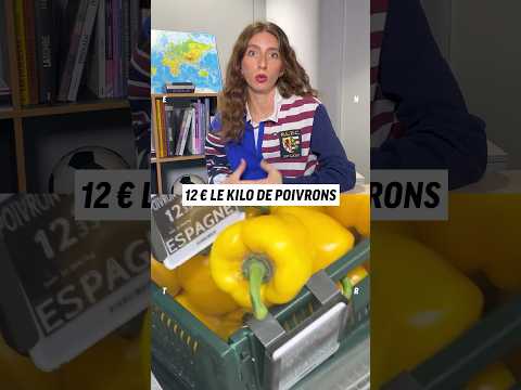 Pourquoi la vie est si chère en Martinique ?