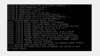 Cara Termudah Instalasi Debian, Setting IP Address, DNS server, Web Server, dan Mail Server