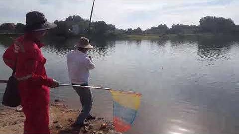 Câu cá hồ marina châu pha. Bà rịa.