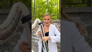 When birds singing while you play #harp #shortvideo #shorts #musician #арфистка #violin #тоска