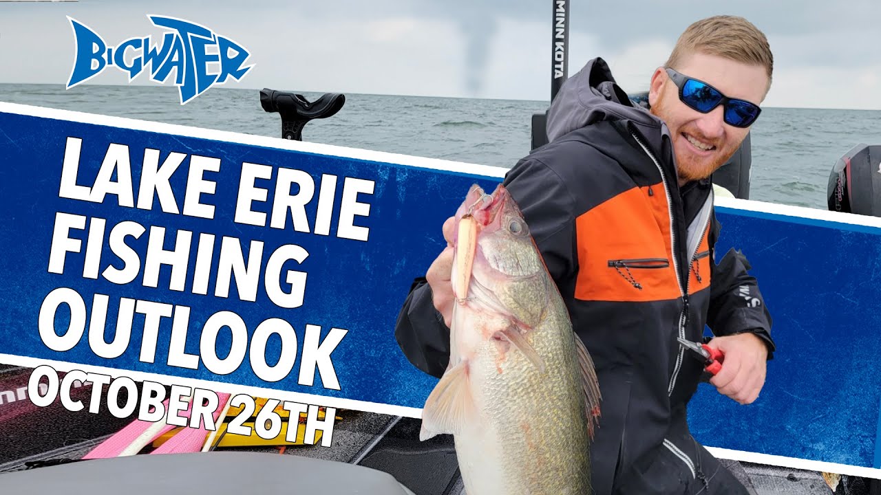Lake Erie Walleye Fishing Report For October/November 2021 YouTube