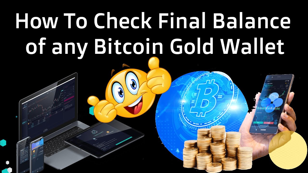 How To Check Final Balance of any Bitcoin Gold Wallet | Crypto Wallets Info