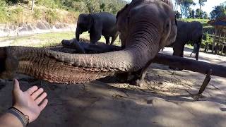 Thailand go pro Travel ( elephant, full-moon, rooftop, temple)