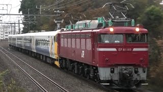 E257系 NB-13&14編成 AT入場 武蔵野線他にて