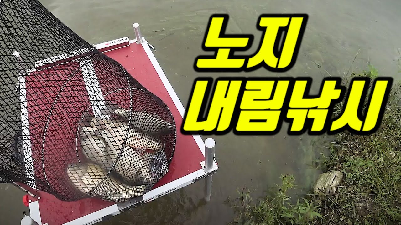 노지 내림낚시! 너무 재밌다.....!!