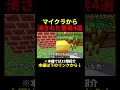 マイクラから消された要素4選 #shorts #java版 #マインクラフト #マイクラ #minecraft #歴史 #解説