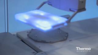 Dean Mulyk- Expert Insight- Valet Microplate Mover