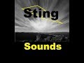 Dramatic Sting Sound Effects All Sounds