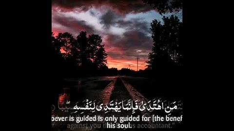 ادريس ابكر⁦❤️⁩ {وكل إنسان ألزمناه طائره في عنقه} تلاوة هادئة للآخر