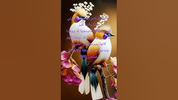 الاية 89-90 من سورة الأنبياء #quran #اكسبلور #المصحف #دويتو #لايك #تيك_توك #duet #ترند #سورة