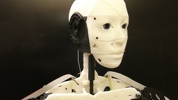 3D Printed Robot InMoov Open Source