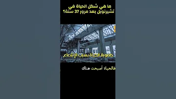 بعد 37 سنة من كارثة مدينة تشرنوبل 