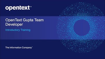 Team Developer Introduction Training