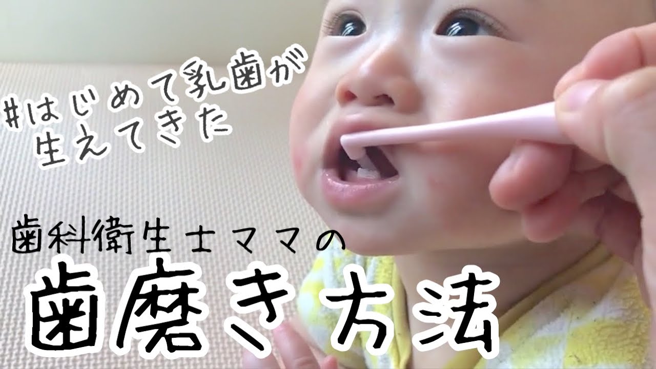 赤ちゃん歯磨き練習 乳歯が生えてきたら 歯磨き嫌いにならない為に 歯科衛生士ママ How To Brush Your Baby S Teeth Youtube