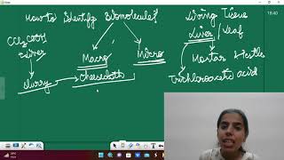 How To Identify Biomolecules Biomicromolecules Biomacromolecules Class 11 Biology