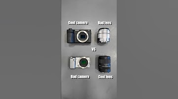 Which one are you trusting for the shot?