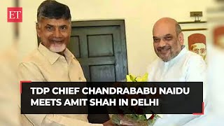 TDP president Chandrababu Naidu meets Amit Shah in Delhi