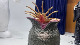 NEW FOR 2026 HalloweenCostumes.com ALIEN OVERMORPH EGG ANIMATRONIC