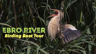 Ebro River Birding Boat Trip, Spain - Blue Sky Wildlife