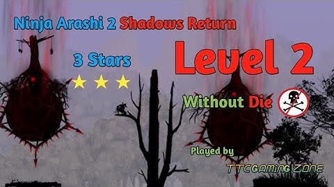 Ninja Arashi 2 Shadow