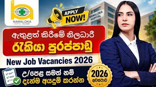Nawaloka Hospital Job Vacancies 2026 | ඇතුළත් කිරීමේ නිලධාරී රැකියා පුරප්පාඩු | Job Market