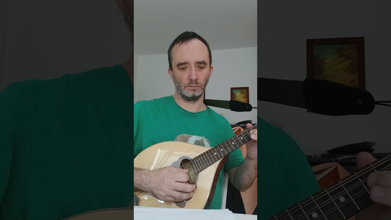 Double Stop Gospel For CGDA Mandola Or Tenor Banjo A Book By Ondrej Sarek