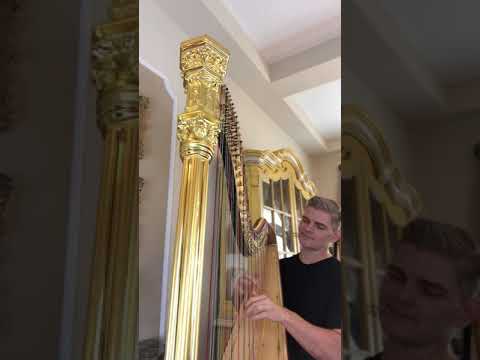 lyon and healy harp for sale lyon and healy harp for sale