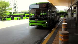 SG3317E 301 BYD BC12A04 Debut