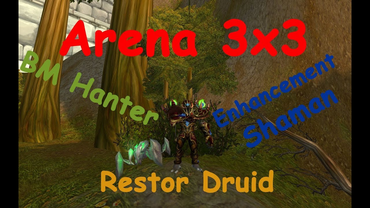 Arena 3x3 BM Hunter , Restor Druid and Enhancement shaman