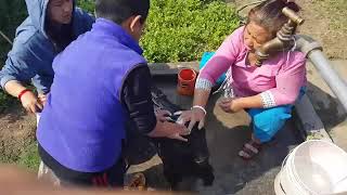 Nepali Bhote Damarubathing