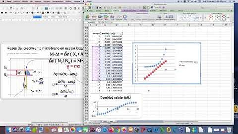 Velocidad específica de crecimiento. Ejercicio1. Grafica de las fases de crecimiento microbiano