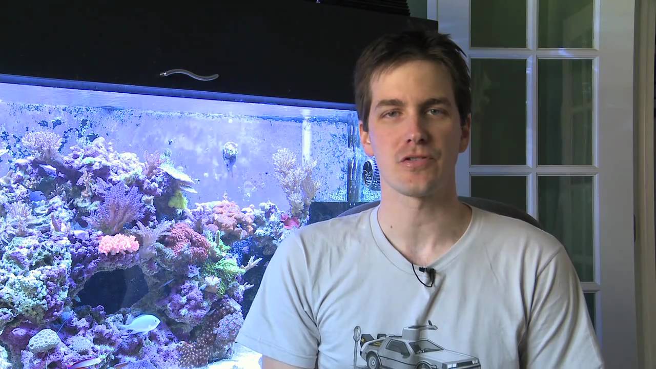 watershed Mr. Saltwater Tank TV Friday AM Quick Tip #19: I'm the Easiest Line of Defense to Setup