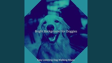 Pulsating Afternoon Dog Walks