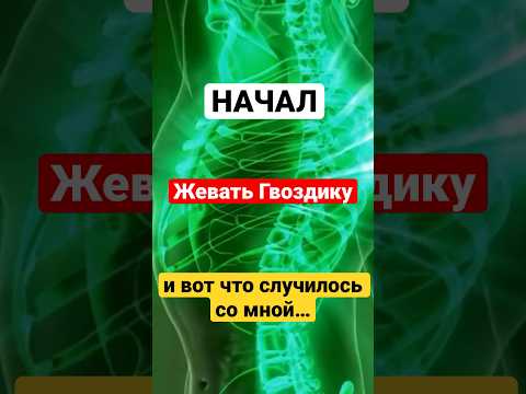 Видео: Методы размножения гвоздики: узнайте, как размножить гвоздичное дерево