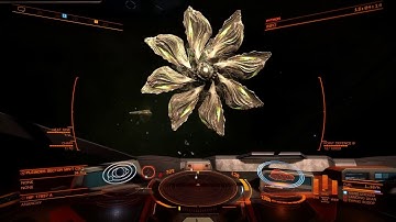 ED  - Research limpet