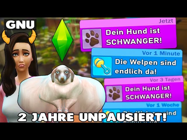 The Sims 4 MEGATRAINER +6 - Unlimited Money/Gold Adder - video Dailymotion
