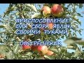 Приспособление для снятия яблок с дерева своими руками.Obstpflücker