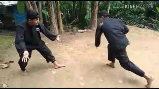 GERAKAN MEMATIKAN SILAT PAUH TELUK NIBUNG PADANG