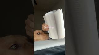 6:30am morning routine #silentmorningroutine #morningroutine