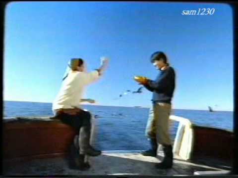 1994年  大來信用証